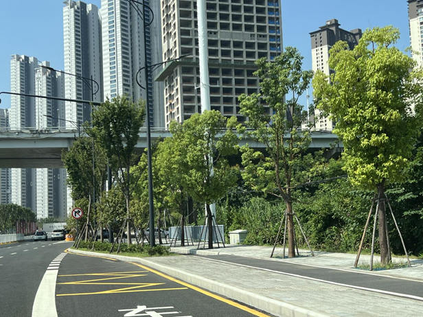 1706759729894510.jpg 图片12.jpg