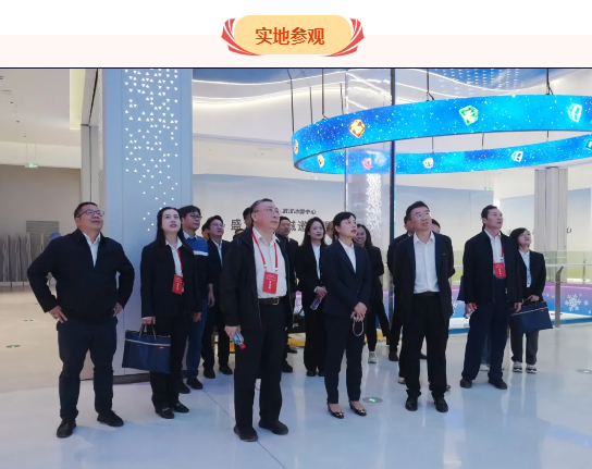 1730781098502721.jpg 08.jpg